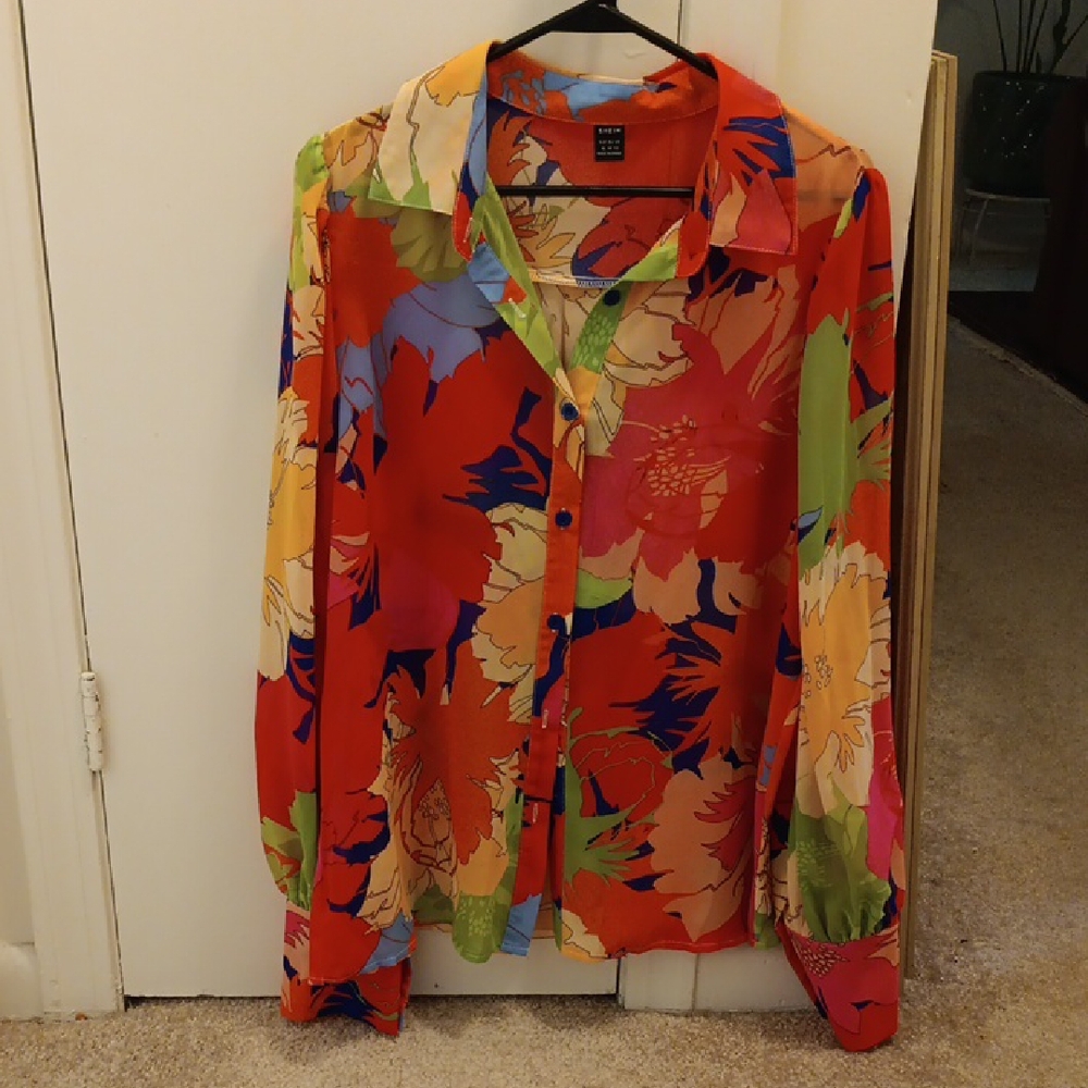 Sheer Button Down Blouse